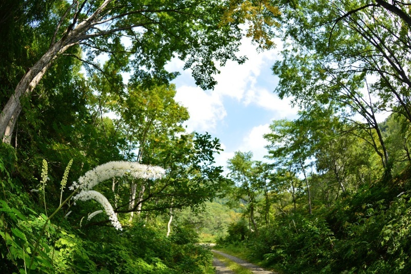 e0353790_12495434.jpg