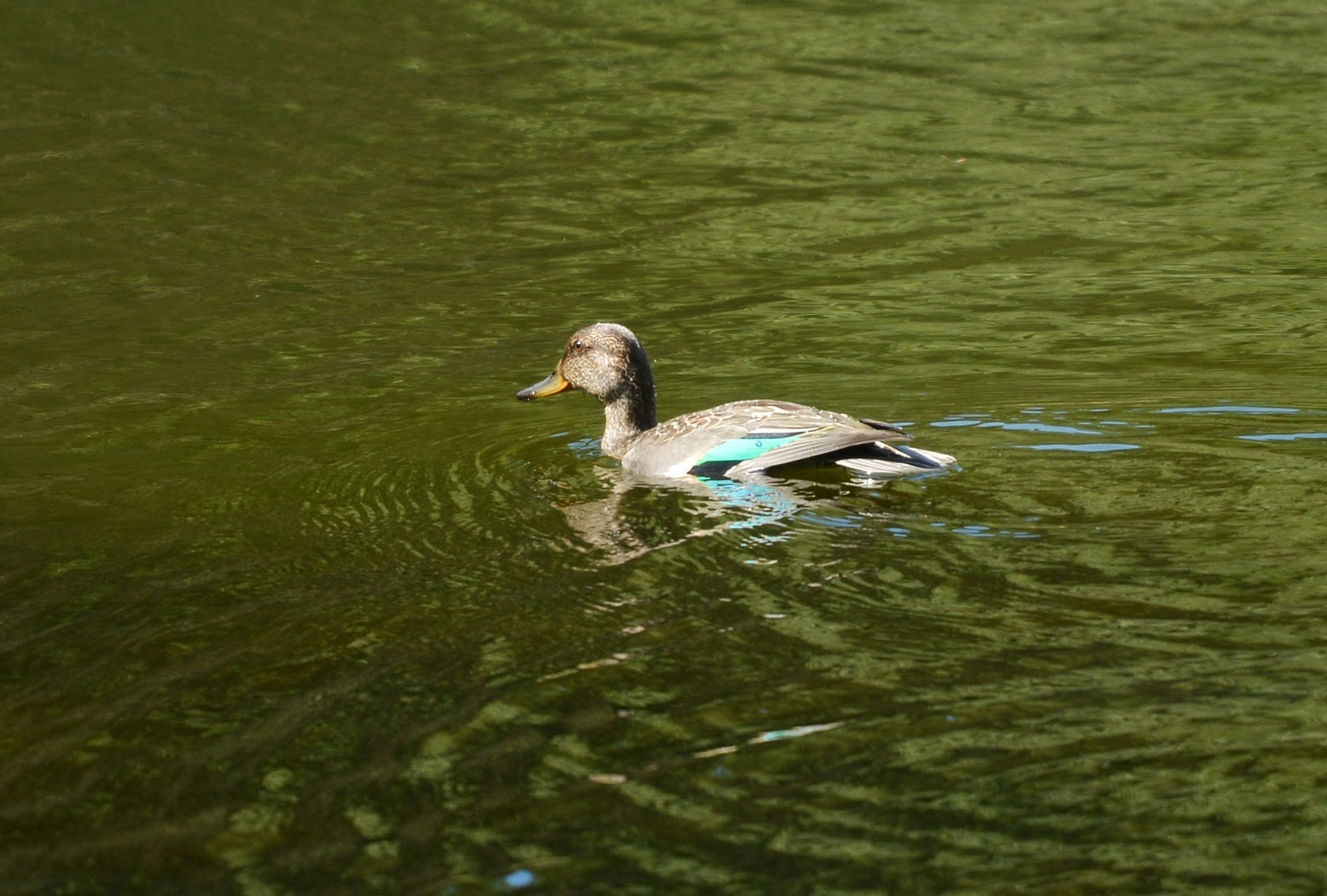 e0353790_18183142.jpg