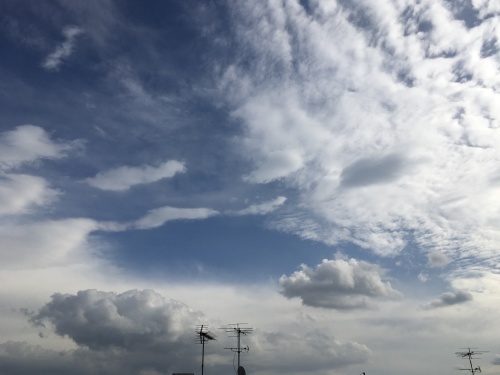 f0347891_16085906.jpg