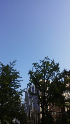 a0352194_08223306.jpg