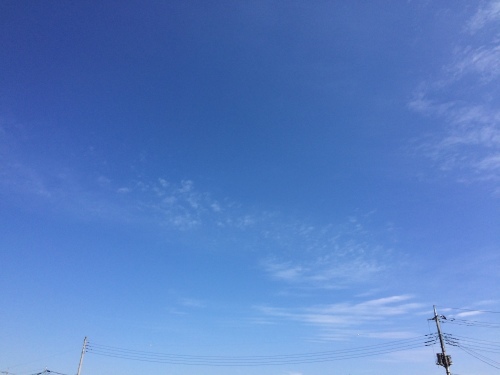 f0215094_11445561.jpg