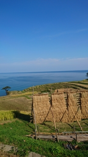 e0058913_09413027.jpg