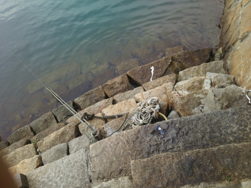 f0191517_10474854.jpg