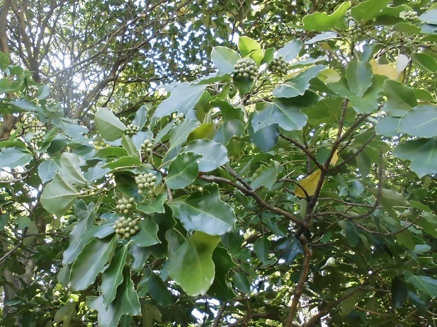 b0181818_19485788.jpg
