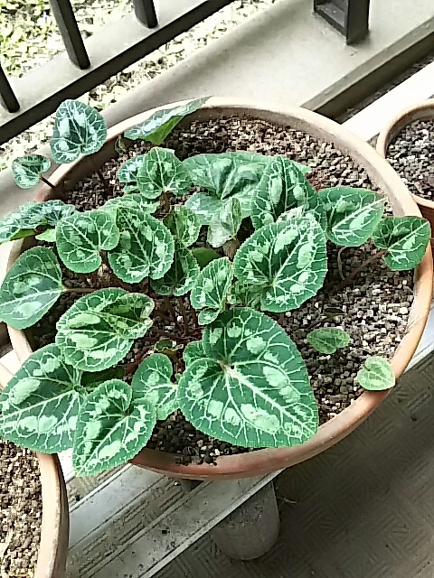 f0235318_10274881.jpg