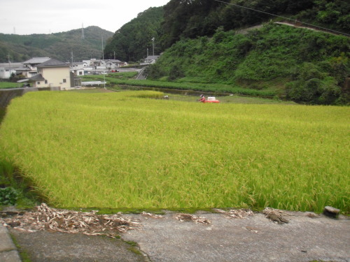 f0329418_23075293.jpg