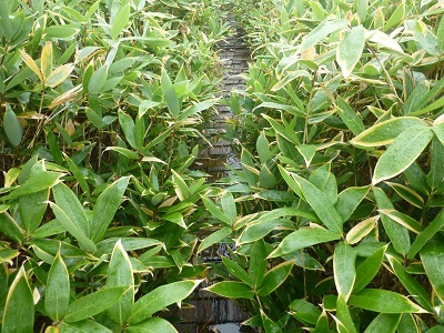 c0227720_00244477.jpg