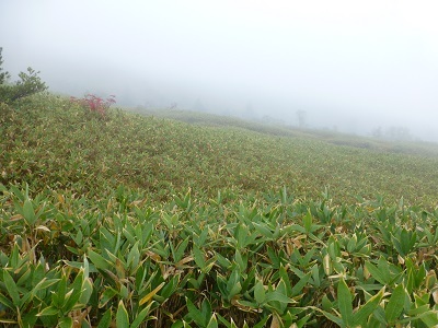c0227720_00262015.jpg
