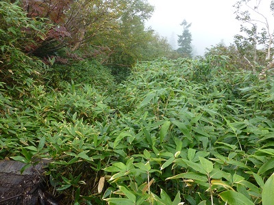 c0227720_00291140.jpg
