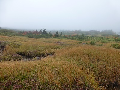 c0227720_00301087.jpg
