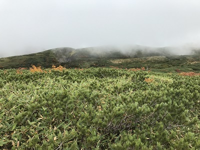 c0227720_00364228.jpg