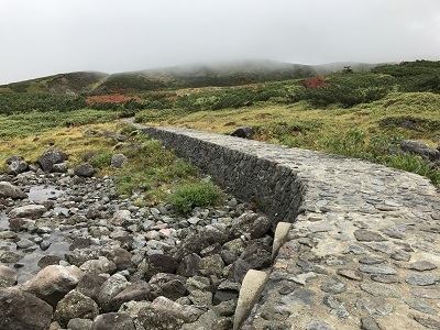 c0227720_00402662.jpg