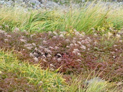 c0227720_00501454.jpg