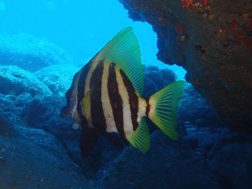 d0164831_18420106.jpg