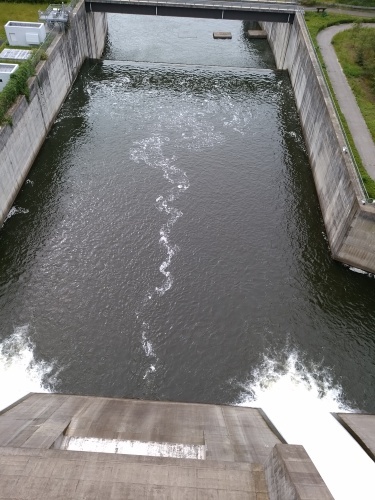 c0300035_10364113.jpg