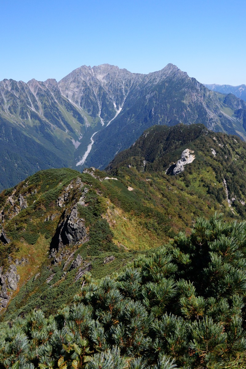 b0096536_20393476.jpg