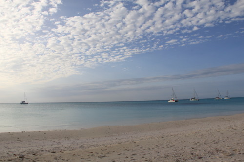 c0011649_08565425.jpg