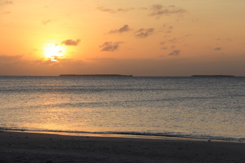 c0011649_09090433.jpg