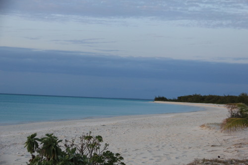 c0011649_09145478.jpg