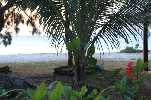 c0011649_09155471.jpg
