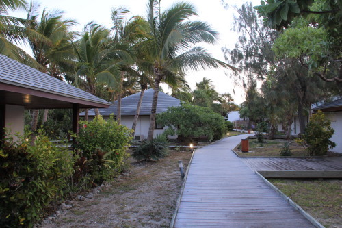 c0011649_09162708.jpg