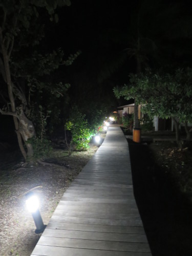 c0011649_09252630.jpg
