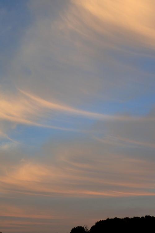 d0342449_00162305.jpg