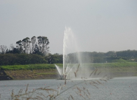 e0172950_215248.jpg