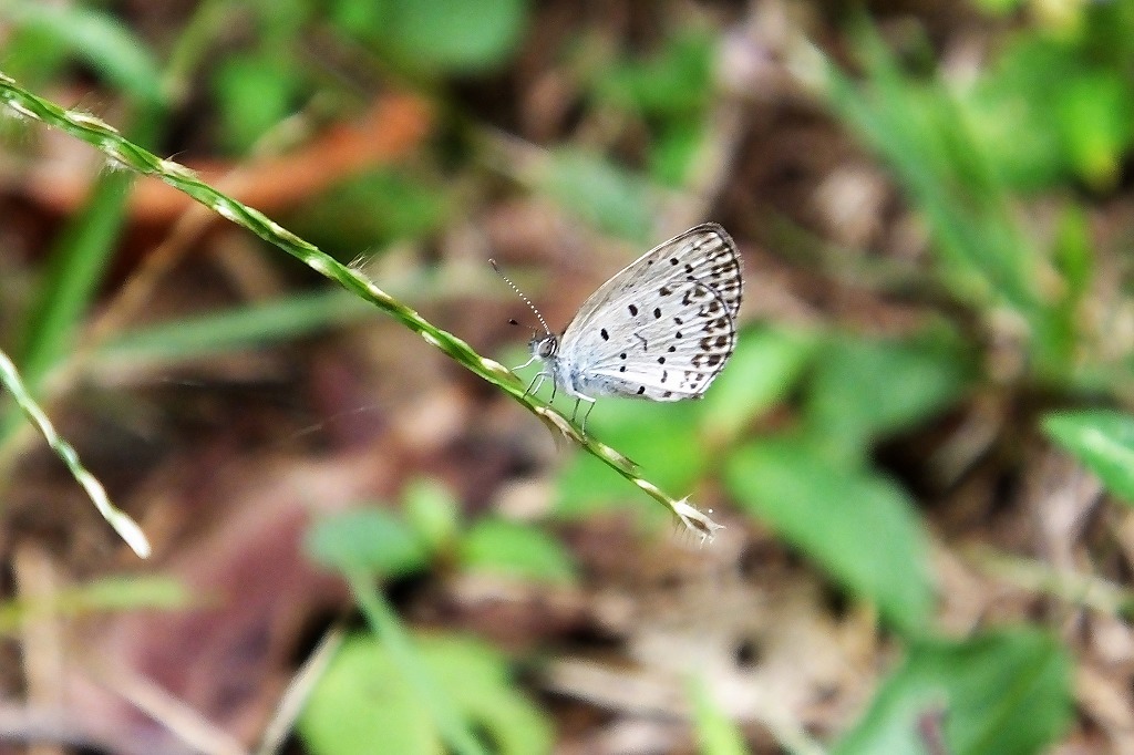 b0236251_14472750.jpg