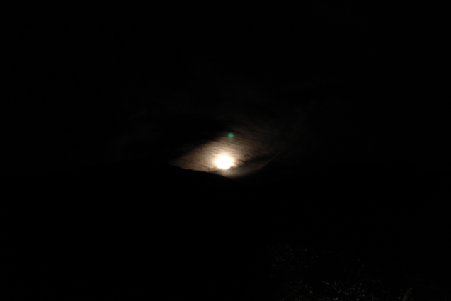 a0288155_15293696.jpg