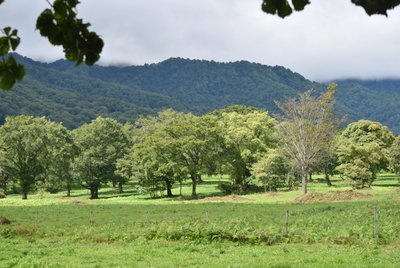 e0364056_1123492.jpg