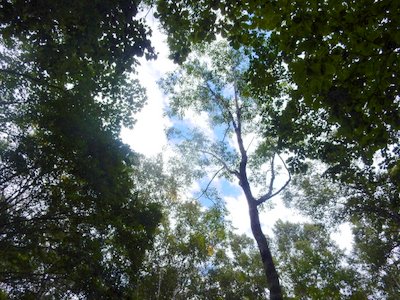e0364056_11281741.jpg