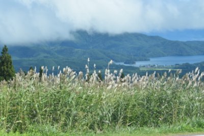 e0364056_1134756.jpg