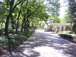 f0150767_09474399.jpg