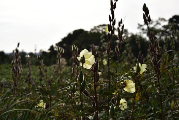 b0346568_20583625.jpg