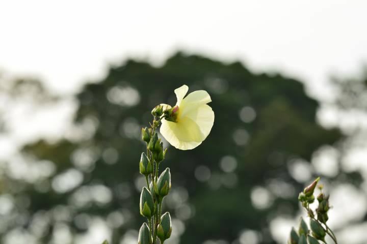 b0346568_20585810.jpg