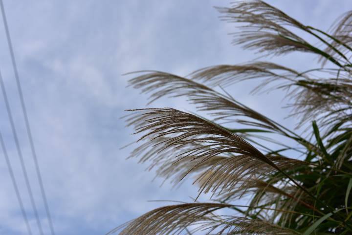 b0346568_21012852.jpg