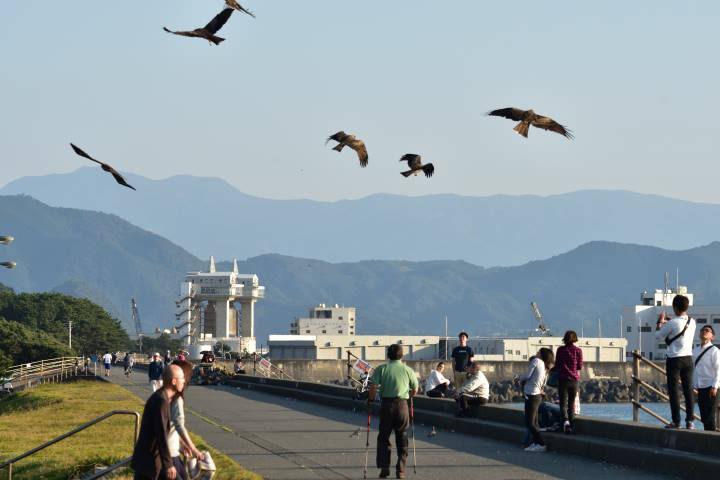 b0346568_23014088.jpg