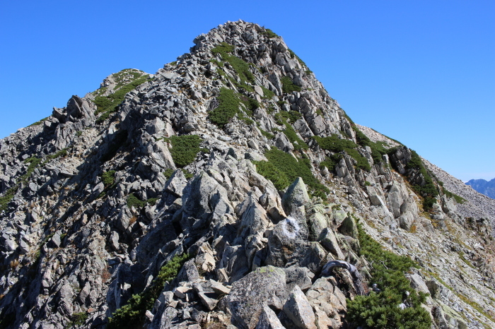 f0223068_13354323.jpg