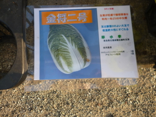 a0079269_09281164.jpg