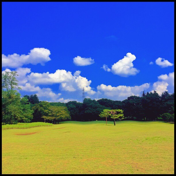 c0026089_21593676.jpg