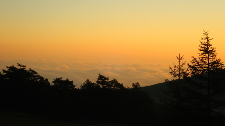 e0120896_06370752.jpg