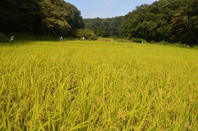 c0124100_23423119.jpg