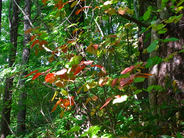 f0157901_1948011.jpg