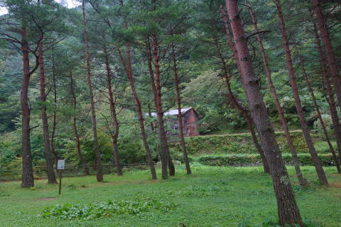 b0069604_10371997.jpg