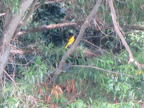 c0212604_20572835.jpg