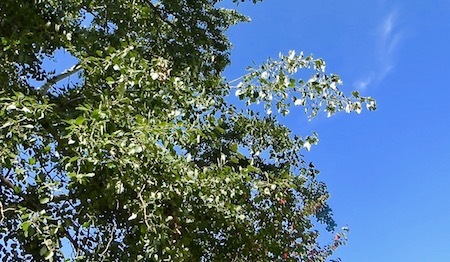 b0226219_16293637.jpg
