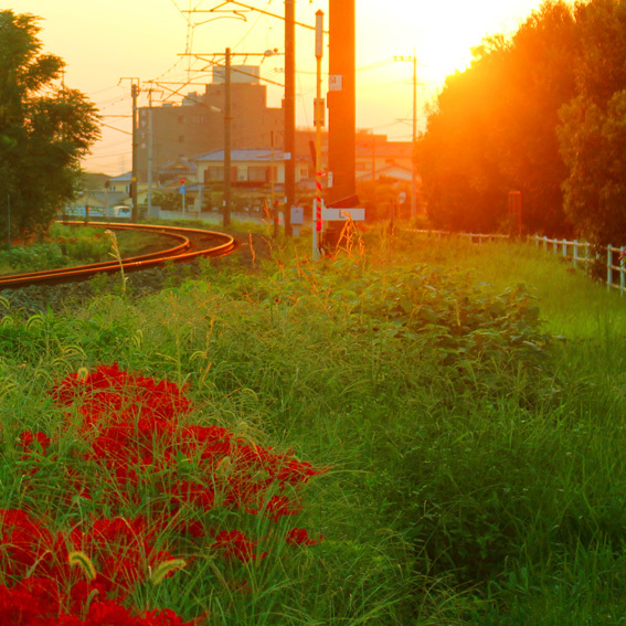 a0329820_20553231.jpg