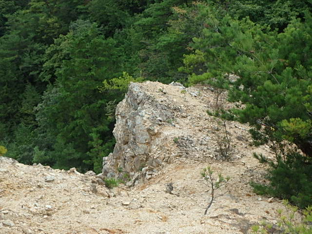 f0334143_7525186.jpg