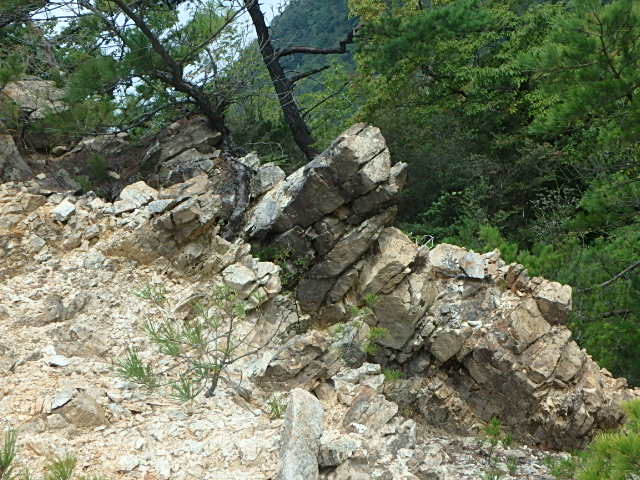 f0334143_7553420.jpg